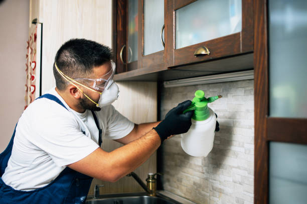 Best Emergency Pest Control  in Dillon, SC