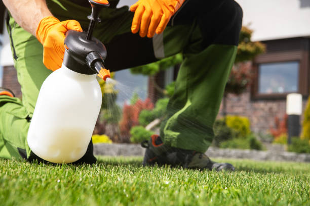 Reliable Dillon, SC Pest Control Solutions
