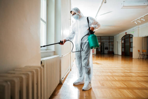 Best Wasp Removal Services  in Dillon, SC